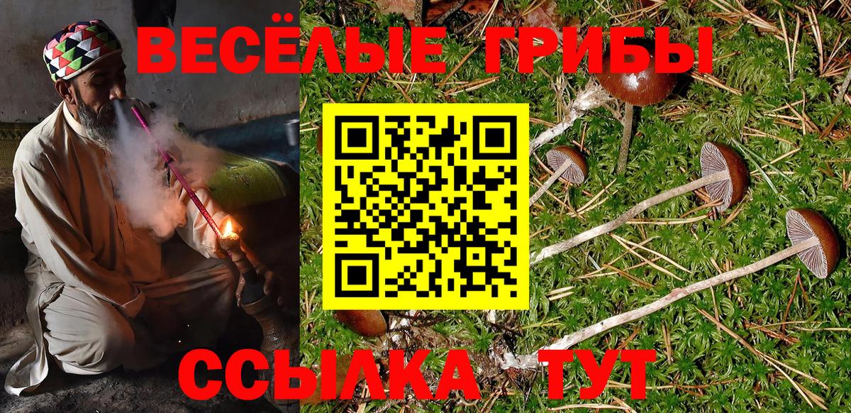 Новый Уренгой  Галлюциногенные грибы Psilocybe  Вход с VPN 