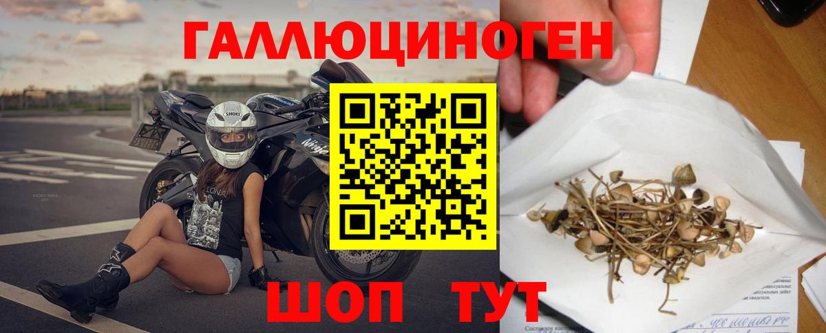Псилоцибиновые грибы MAGIC MUSHROOMS Новый Уренгой
