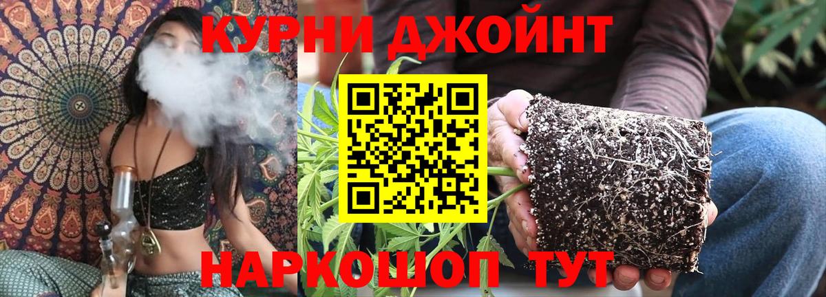 Конопля сатива Новый Уренгой